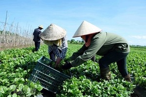 Thúc đẩy Kl992 cổng game cá cược tập thể phát triển bắt đầu từ bước đăng ký Kl992 VIP Trang Chủ 2026
