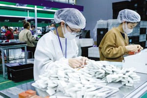 Thu hút vốn Kl99ok phiên bản mới nước ngoài trong 2 tháng đầu năm đạt 4,29 tỷ USD, tăng 38,6% so với cùng kỳ năm 2023. Ảnh: Đ.T