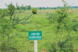 Công viên Sài Gòn Safari đến nay vẫn bất động sau nhiều năm triển khai.