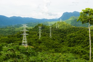 Ảnh minh hoạ. (Nguồn: Internet)
