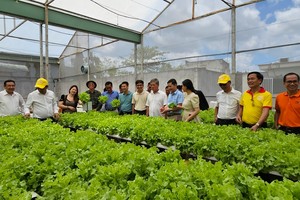 TP.HCM đặt mục tiêu phấn đấu đến 2030, 100% số mẫu rau Kl994 nhà cái bóng đá world cup tại Thành phố được thanh, kiểm tra đạt tiêu chuẩn an toàn.