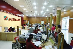 Agribank đang đau đầu với thực tế tiền gửi ùn ùn chảy vào Link Vào Nhà Cái KL99 COM Tặng +199k, trong khi cho vay tăng rất chậm. Ảnh: Đức Thanh