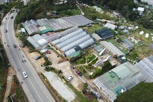 Đề xuất cắt giảm thời gian chuyển mục đích sử dụng rừng để thực hiện các dự án
