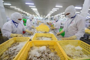 Rau quả, cà phê, hạt tiêu sang Hàn Quốc tận dụng ưu đãi FTA cao nhất