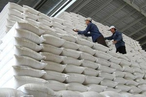 Ban hành định mức hao hụt thóc, gạo dự trữ quốc gia