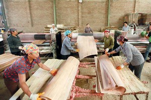 Giảm mạnh hơn nữa lao động phi chính thức