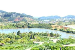 Ảnh minh họa