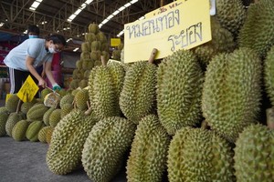 Thái Lan gấp rút hành động sau khi bị sầu riêng Việt Nam “qua mặt” 