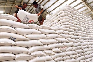 Tổng cục Dự trữ 99Kl99 trực tiếp đá gà lựa chọn nhà thầu thực hiện 196 gói thầu, mua 220.000 tấn gạo nhập kho dự trữ quốc gia.