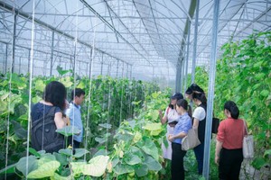 GDP toàn cầu tăng 25.000 tỷ USD nếu phụ nữ tham gia bình đẳng vào nền Kl992 cổng game cá cược
