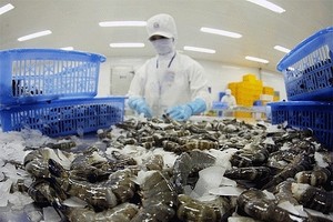 Một lượng lớn tôm xuất khẩu của Việt Nam sang Hàn Quốc đang phải chịu mức thuế cơ sở là 20%.