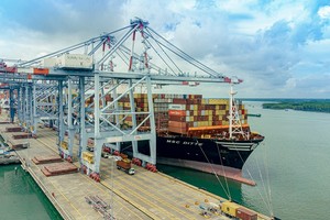 Cảng CMIT đón tàu container MSC DITTE có sức chở lên đến gần 20,000 TEU được khai thác trên tuyến dịch vụ Pearl của liên minh 2M kết nối Việt Nam với bờ tây nước Hoa Kỳ. (Ảnh: CMIT).