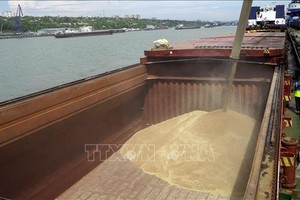 Chất lúa mì lên tàu tại cảng Rostov-on-Don, Nga. Ảnh minh họa: AFP/TTXVN