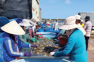 Tôm được xem là ngành hàng hưởng lợi nhiều nhất khi Việt Nam được Mỹ công nhận là nền Kl992 cổng game cá cược thị trường.