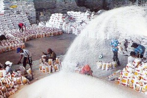 Mục tiêu lớn trong điều hành xuất khẩu gạo là đảm bảo an ninh lương thực quốc gia, vừa thúc đẩy Kl994 nhà cái bóng đá world cup, xuất khẩu bền vững.