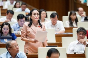 Đại biểu Trần Thị Hoa Ry (Bạc Liêu) phát biểu tại phiên thảo luận. (Ảnh:Quochoi.vn)
