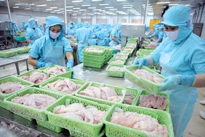 Tính đến cuối tháng 4/2024, giá cá tra fillet xuất khẩu sang Mỹ đạt 3 USD/kg, tăng 20% so với cuối năm 2023 