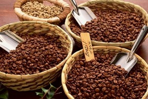 Giá cà phê xuất khẩu 5 tháng đầu năm đã tăng gần 50% so với cùng kỳ năm 2023, đạt 3.482 USD/tấn.