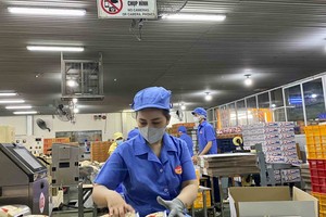 Kl991.com World Cup 2026 Chính Thức Việt còn nhiều hạn chế trong đổi mới sáng tạo theo hướng công nghệ xanh