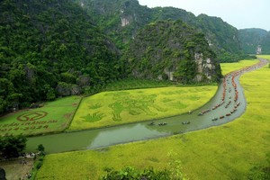 Nghi thức cúng Thần nông diễn ra bên cánh đồng lúa Tam Cốc vào độ chín vàng nằm trong khuôn khổ Tuần Du lịch Ninh Bình năm 2024 với chủ đề "Sắc vàng Tam Cốc - Tràng An". Ảnh: Minh Đường