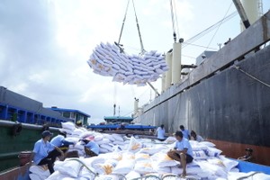 Xuất khẩu gạo Việt Nam sang Trung Quốc giảm mạnh.
