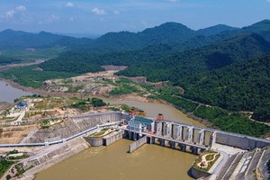 Bộ Nông nghiệp và Phát triển nông thôn đang tập trung chỉ đạo đẩy nhanh tiến độ các dự án Kl99ok phiên bản mới công năm 2024.