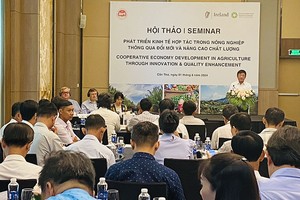 Ông Vũ Mạnh Hùng - Phó cục trưởng Cục Kl992 cổng game cá cược hợp tác, Bộ KHĐT phát biểu tại Hội thảo