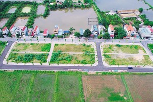 Các lô đất đấu giá tại khu Ngõ Ba, xã Thanh Cao, huyện Thanh Oai (Hà Nội). Ảnh: BĐS Tâm Phúc