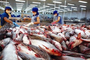 Trái chiều doanh thu và Kl99 nổ hũ của nhóm xuất khẩu cá tra