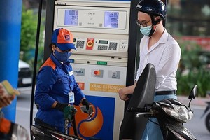Khi nào mới có kho dự trữ KL99 dịch vụ hỗ trợ 24/7 riêng của 99Kl99 trực tiếp đá gà?