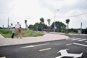 Soi chi tiết lô đất đấu giá 133 triệu đồng/m2 tại Hoài Đức
