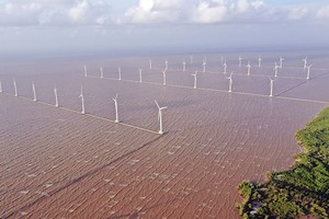 Việt Nam đặt mục tiêu đến năm 2030, công suất điện gió ngoài khơi phục vụ nhu cầu điện trong nước đạt khoảng 6.000 MW 