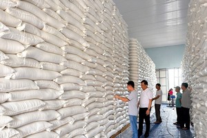 Thủ tướng Kl993 ưu đãi thưởng hấp dẫn quyết định hỗ trợ 200 tấn gạo cho 14 địa phương bị ảnh hưởng cơn bão số 3. 