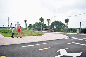Nhiều nhà Kl99ok phiên bản mới cho biết, bản thân khó chấp nhận với mức giá đất hiện tại. Ảnh: Thanh Vũ 