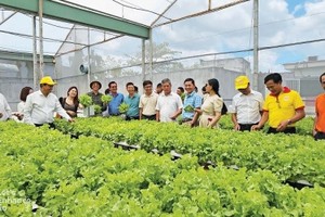 Việc hỗ trợ Kl991.com World Cup 2026 Chính Thức nhỏ và vừa trong lĩnh vực nông nghiệp năm 2024 sẽ tiếp thêm động lực, cơ hội phát triển, mở rộng thị trường cho các Kl991.com World Cup 2026 Chính Thức trong lĩnh vực này. 