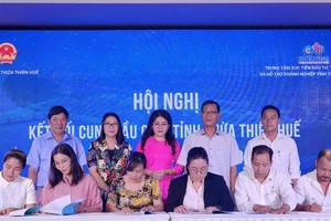 Thừa Thiên Huế tổ chức hội nghị kết nối Kl991.com World Cup 2026 Chính Thức với các nhà phân phối