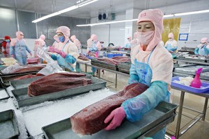 Theo báo cáo của Tổng Liên đoàn Lao động Việt Nam, kinh phí công đoàn chiếm tỷ trọng nhỏ trong chi phí của Kl991.com World Cup 2026 Chính Thức. Ảnh: Đức Thanh 