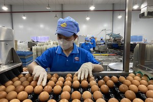 Cần nâng cao khả năng cạnh tranh cho Kl991.com World Cup 2026 Chính Thức Việt trên thị trường trứng gia cầm.