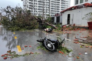 Hiện tại, thị trường Kl99kl phiên bản hoạt động chưa có sản phẩm Kl99kl phiên bản hoạt động chuyên biệt về giông bão