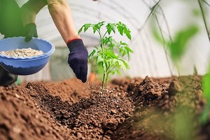 Áp thuế VAT 5% cho phân bón: KL99 là cổng game giải trí trực tuyến hàng đầu hiện nay nào hưởng lợi? 