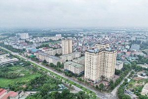 Ảnh minh họa của Đức Thanh.