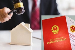 Quyết định số 19/2019/QĐ-UBND ngày 15/10/2019 và Quyết định số 07/2023/QĐ-UBND ngày 21/4/2023 của UBND TP. Hà Nội bị bãi bỏ từ ngày 1/12/2024. (Ảnh minh họa)