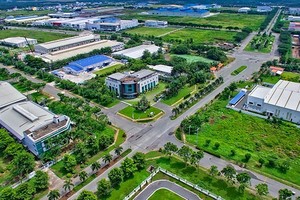 Ảnh minh họa
