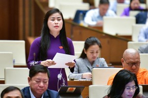 Đại biểu Đặng Thị Bảo Trinh (Quảng Nam)