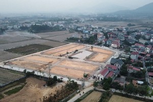 Khu đất đấu giá tại thôn Đông Lai, xã Quang Tiến, huyện Sóc Sơn. Ảnh: Phan Thiên