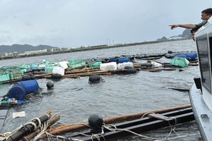 Ngành nông nghiệp chịu thiệt hại gần 40.000 tỷ đồng do bão Yagi, nhưng chỉ khoảng 17% tổn thất được Kl99kl phiên bản hoạt động