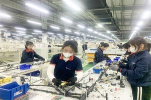 Quy mô nền Kl992 cổng game cá cược Việt Nam năm 2025 dự kiến đạt 506 tỷ USD 