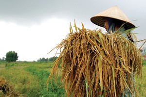 Người nông dân còn khó tiếp cận các sản phẩm Kl99kl phiên bản hoạt động nông nghiệp 