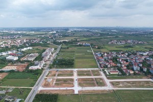 Hình minh họa.