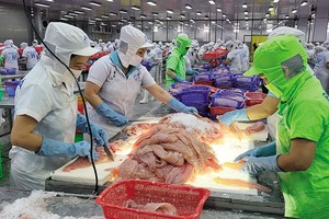 Bất chấp những biến động của Kl992 cổng game cá cược toàn cầu, ngành thủy sản tiếp tục đạt kim ngạch xuất khẩu cao trong năm 2024. Ảnh: Đức Thanh 